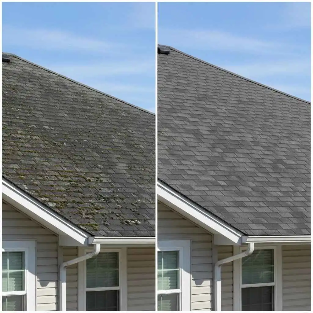  roof with moss vs. same roof after cleaning